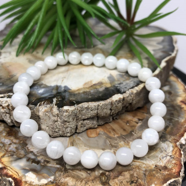 copy of 